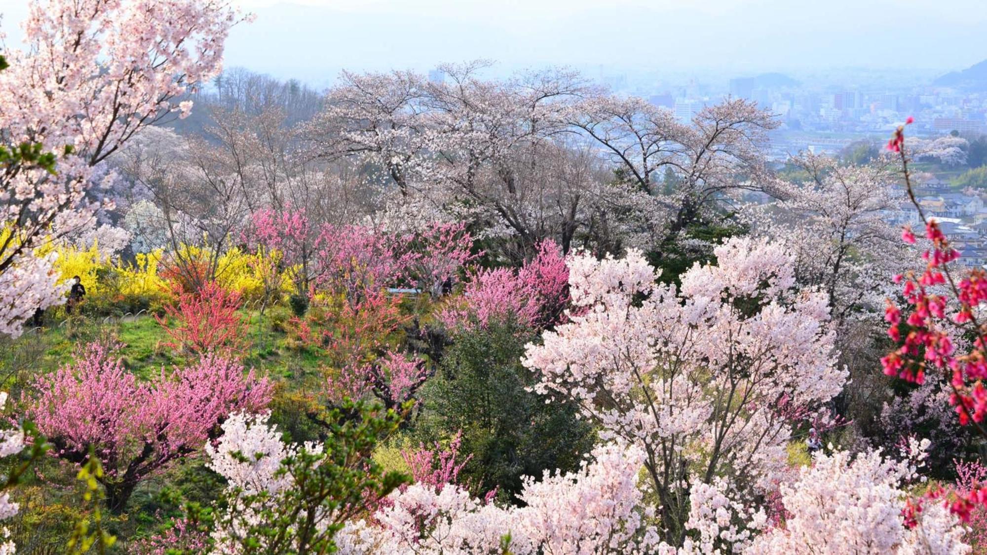 Toyoko Inn Fukushima-Eki Higashi-Guchi No 2 Fukushima  Zewnętrze zdjęcie